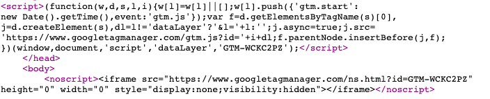 Gtm Website Install